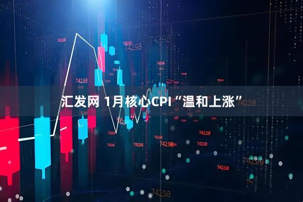 汇发网 1月核心CPI“温和上涨”