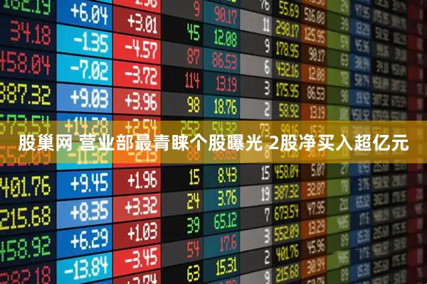 股巢网 营业部最青睐个股曝光 2股净买入超亿元