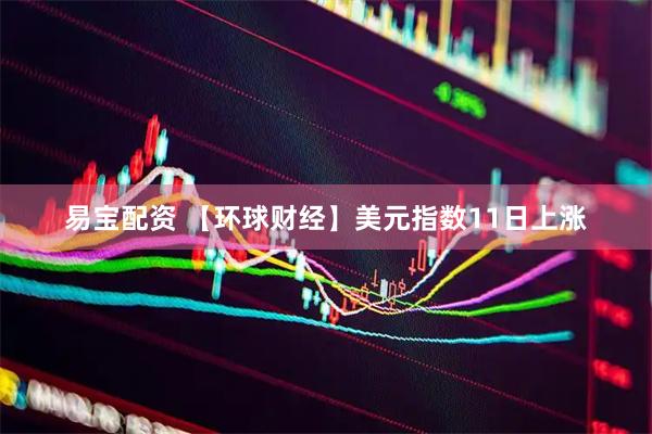 易宝配资 【环球财经】美元指数11日上涨