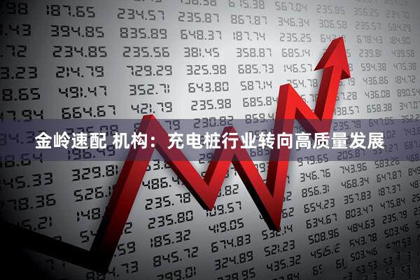 金岭速配 机构：充电桩行业转向高质量发展