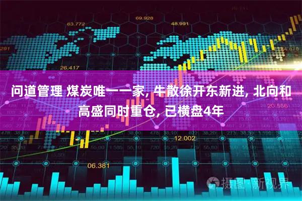 问道管理 煤炭唯一一家, 牛散徐开东新进, 北向和高盛同时重仓, 已横盘4年