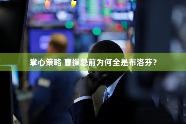 掌心策略 曹操墓前为何全是布洛芬？