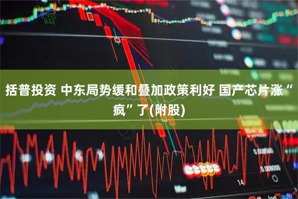 括普投资 中东局势缓和叠加政策利好 国产芯片涨“疯”了(附股)