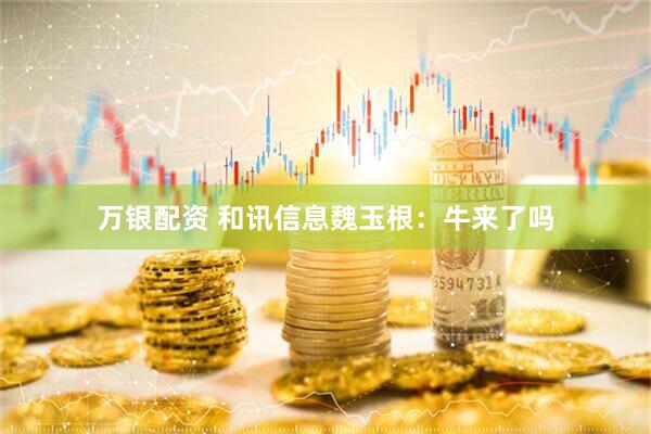 万银配资 和讯信息魏玉根：牛来了吗