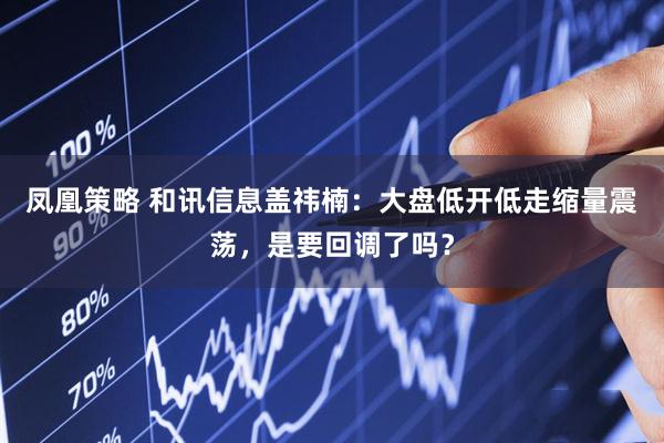 凤凰策略 和讯信息盖祎楠：大盘低开低走缩量震荡，是要回调了吗？