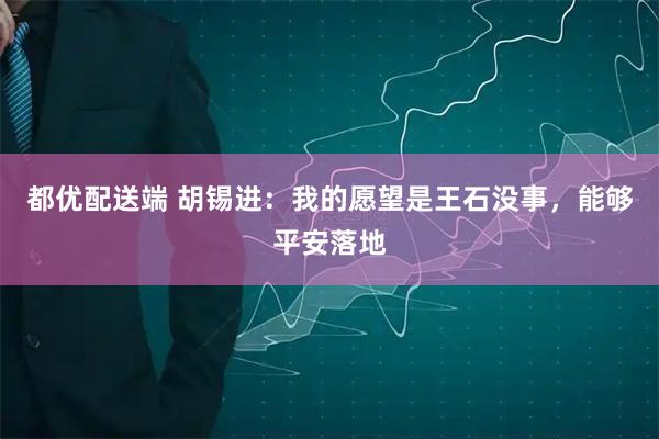 都优配送端 胡锡进：我的愿望是王石没事，能够平安落地