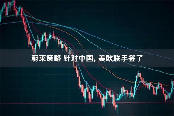 蔚莱策略 针对中国, 美欧联手签了