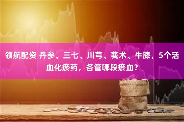 领航配资 丹参、三七、川芎、莪术、牛膝，5个活血化瘀药，各管哪段瘀血？