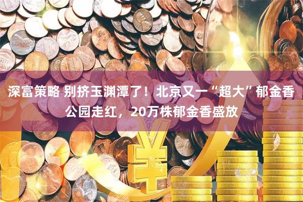 深富策略 别挤玉渊潭了！北京又一“超大”郁金香公园走红，20万株郁金香盛放