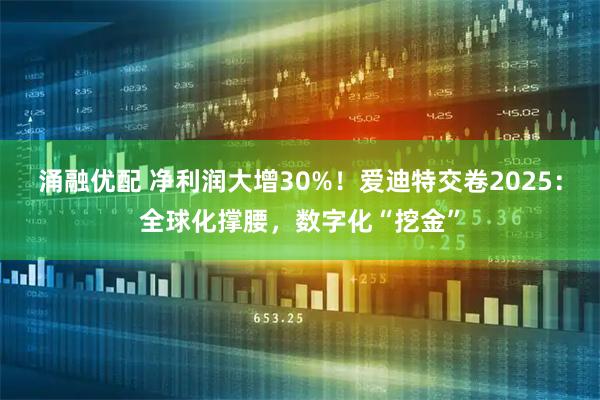 涌融优配 净利润大增30%！爱迪特交卷2025：全球化撑腰，数字化“挖金”