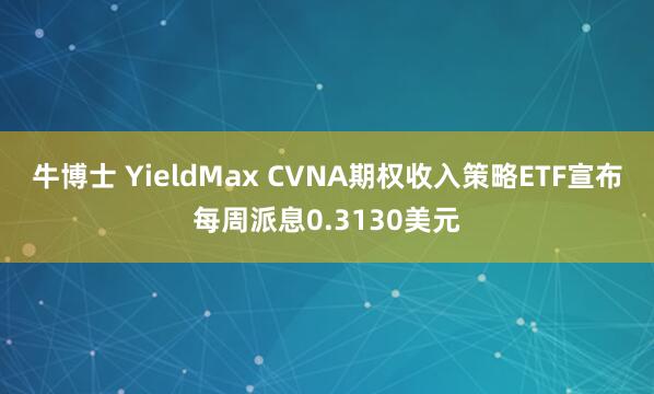 牛博士 YieldMax CVNA期权收入策略ETF宣布每周派息0.3130美元