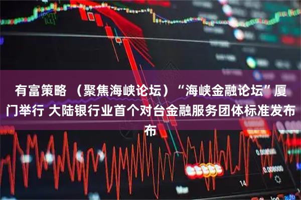 有富策略 （聚焦海峡论坛）“海峡金融论坛”厦门举行 大陆银行业首个对台金融服务团体标准发布