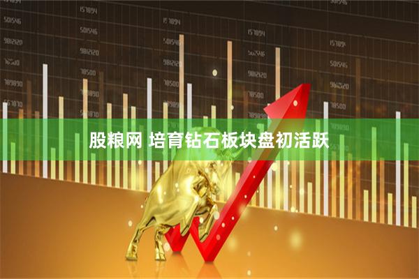股粮网 培育钻石板块盘初活跃