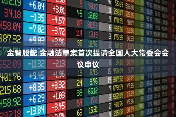 金智股配 金融法草案首次提请全国人大常委会会议审议
