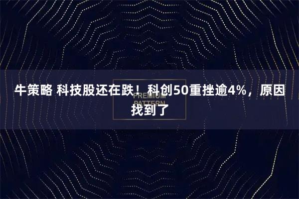牛策略 科技股还在跌！科创50重挫逾4%，原因找到了