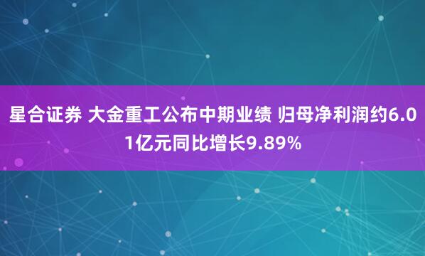 星合证券 大金重工公布中期业绩 归母净利润约6.01亿元同比增长9.89%